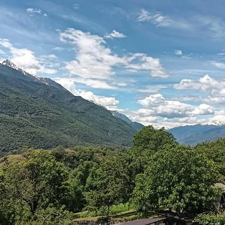 Le Sapin Des Vuillermin Cir0080 圣文森特