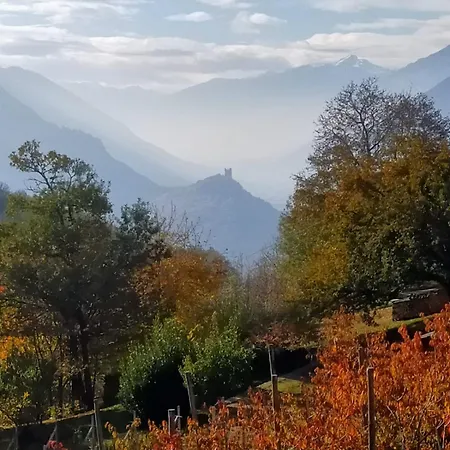 公寓 Le Sapin Des Vuillermin Cir0080