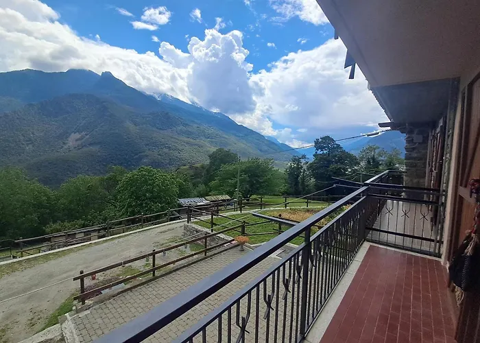 Le Sapin Des Vuillermin Cir0080